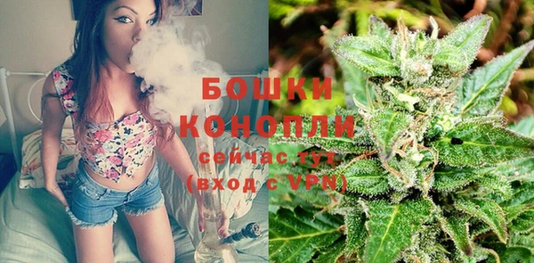 крисы Липки