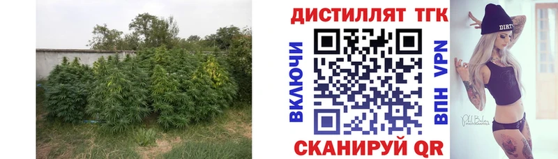 Купить закладки  Клинцы  ТГК гашишное масло 