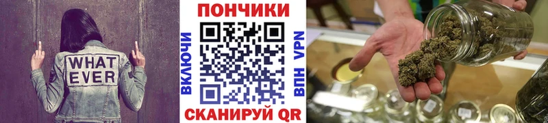 Бошки марихуана OG Kush  Купить закладки  Клинцы 